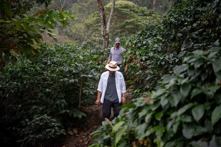 Meet Los Amigos: Mittelmann und Importeur