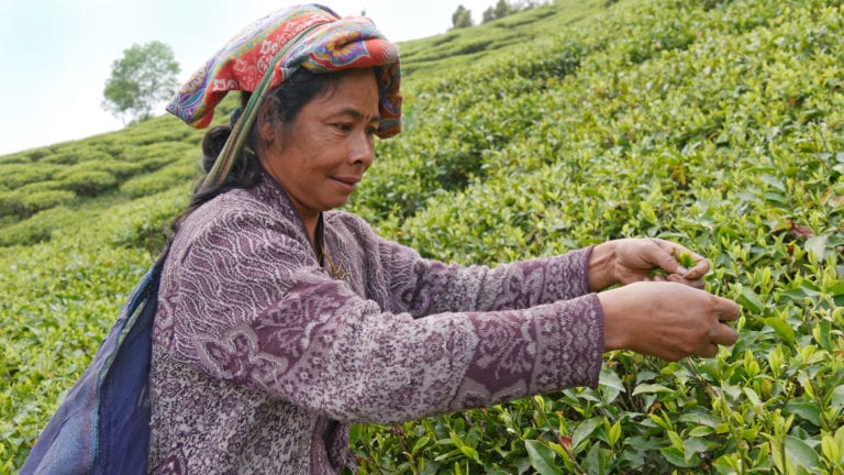 Alles rund um Fair Trade mit GEPA
